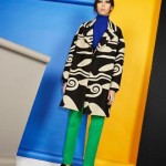 Fashion ID Buzz